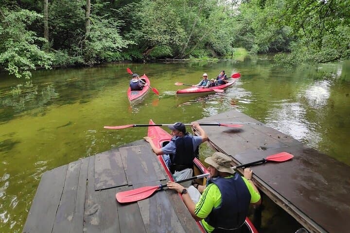 Self-Guided Kayaking on the Žeimena River — 18 km of Clear Water and Pine-Coast Exploration photo 3