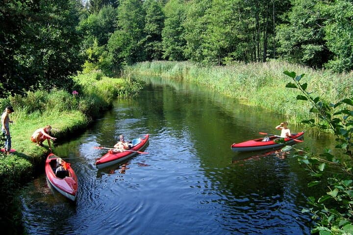 Self-Guided Kayaking on the Žeimena River — 18 km of Clear Water and Pine-Coast Exploration photo 4