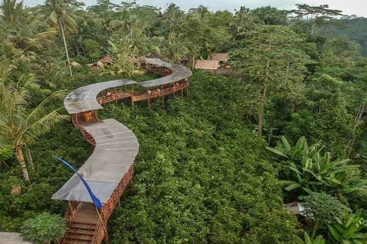 Ubud Family Rafting & Private Ubud Tour | Ayung River Rafting, Monkey Forest & Rice Terraces photo 6