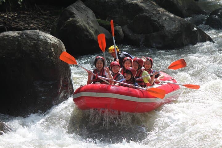 Ubud Family Rafting & Private Ubud Tour | Ayung River Rafting, Monkey Forest & Rice Terraces photo 4
