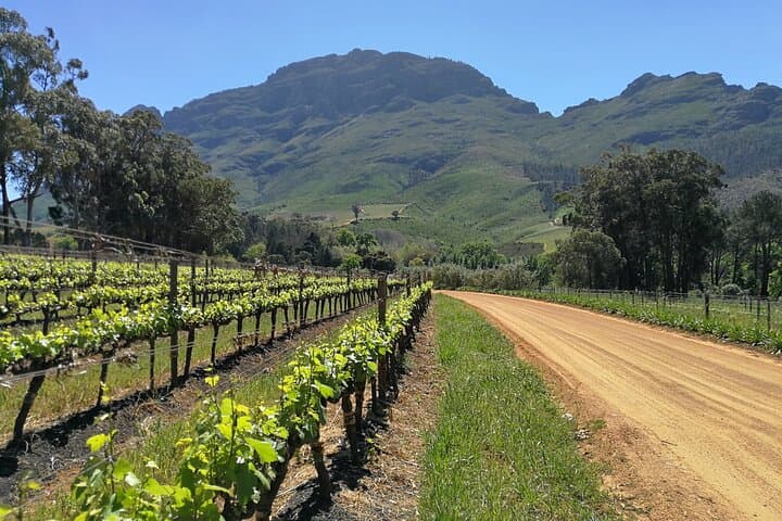 Greatest Wine Tour of the Cape Winelands — Stellenbosch Private Tasting Day photo 1