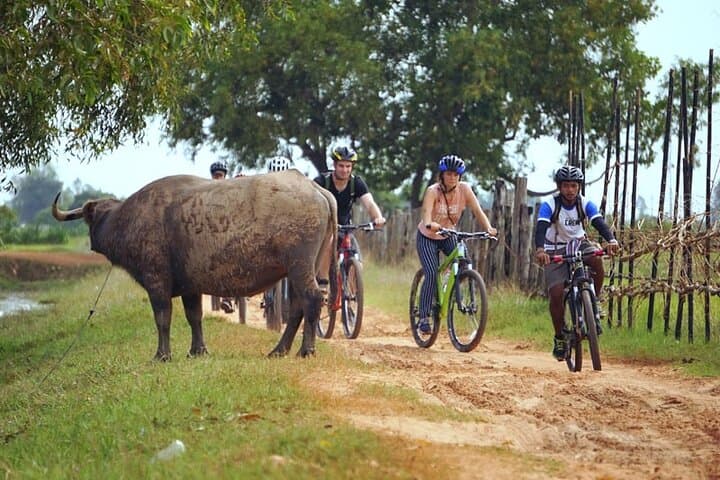 Cambodia 9-Day Active Adventure: Cycle Angkor, Trek Phnom Kulen & Boat Tonle Sap photo 5