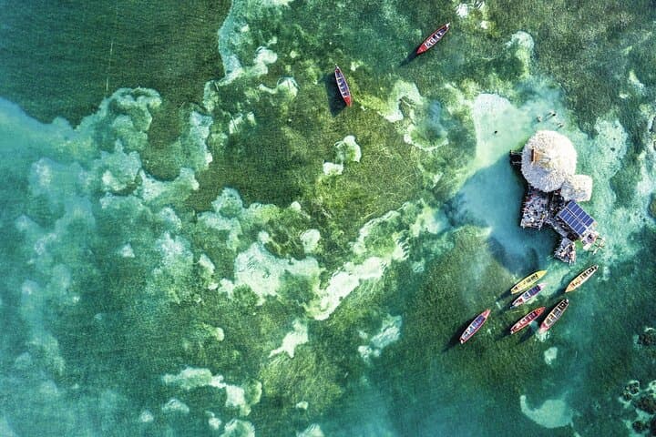 Appleton Rum, YS Falls & Pelican Bar: Full-Day Jamaican Adventure photo 2