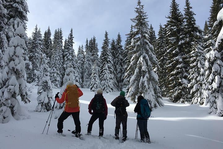 Snowshoeing from Bansko to Ortsevo: Easy Rhodope Day Hike with Pirin Panorama
