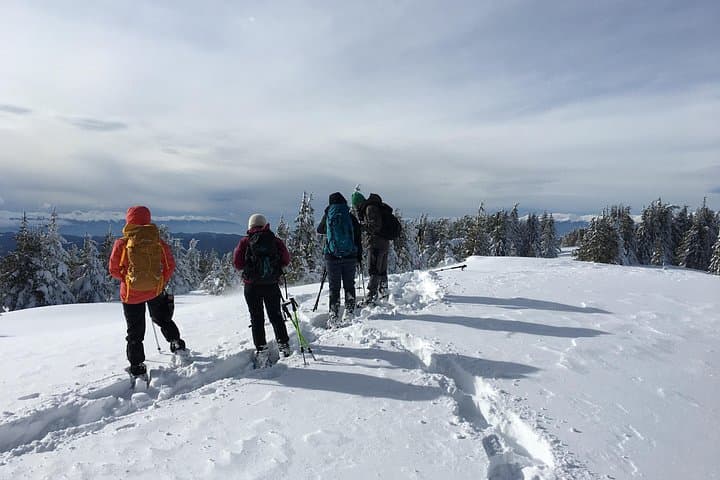 Snowshoeing from Bansko to Ortsevo: Easy Rhodope Day Hike with Pirin Panorama photo 2