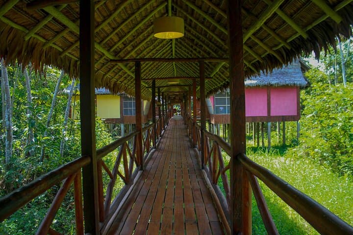 3-Day Iquitos Amazon Jungle Tour at Premium Eco Lodge photo 5