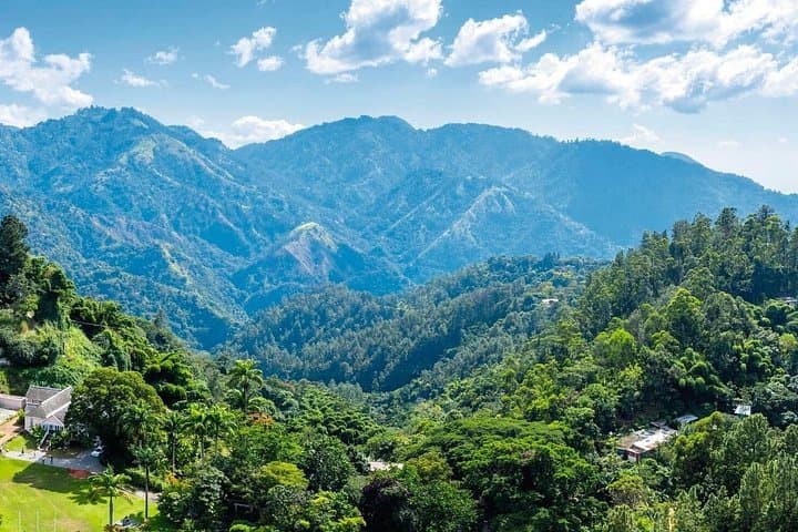 Kingston to Blue Mountains: Full-Day Private Coffee & Culture Tour photo 2