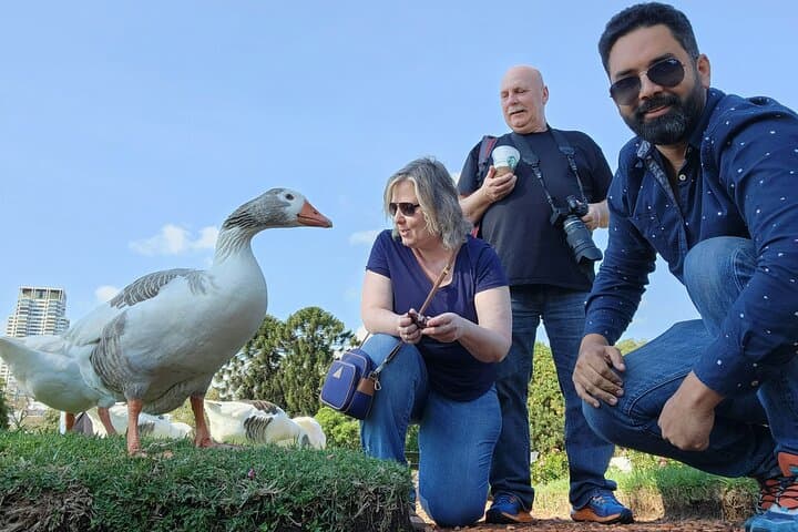 Explore Buenos Aires: Private City Tour with a Local Expert photo 2