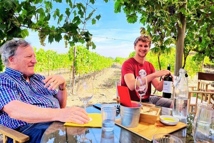 Douro Valley Wine Tour: Two Wineries, Lunch and Optional Rabelo Cruise from Porto