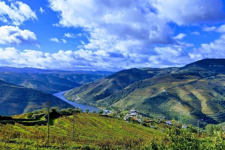 Douro Valley Wine Tour: Two Wineries, Lunch and Optional Rabelo Cruise from Porto photo 2