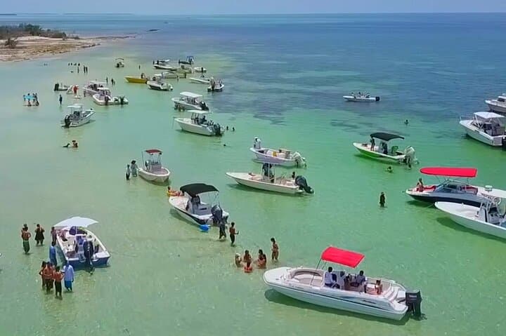 Full-Day Key West Snorkel Charter: Sandbar, Reefs & Eco Safari