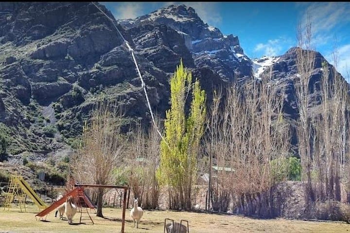 Full-Day Portillo Ski Experience From Santiago — Andes Skiing, Picnic & Llamas photo 4