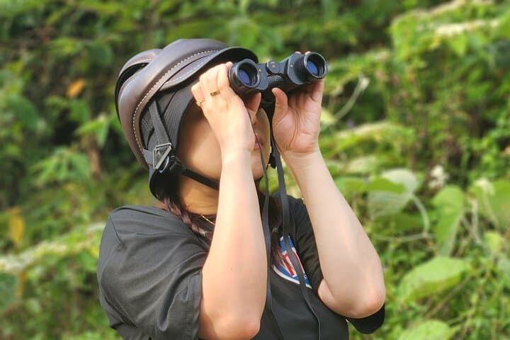 Tracking the Red-Shanked Douc: Monkey-Watching on Son Tra Peninsula photo 4