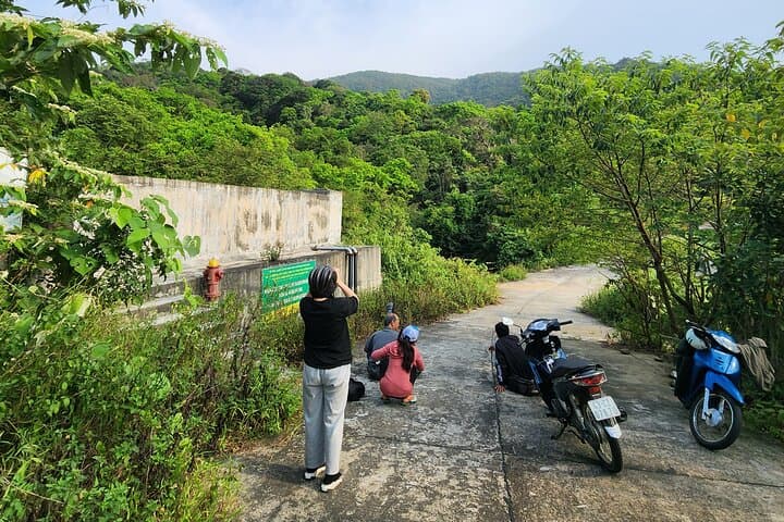 Tracking the Red-Shanked Douc: Monkey-Watching on Son Tra Peninsula photo 5