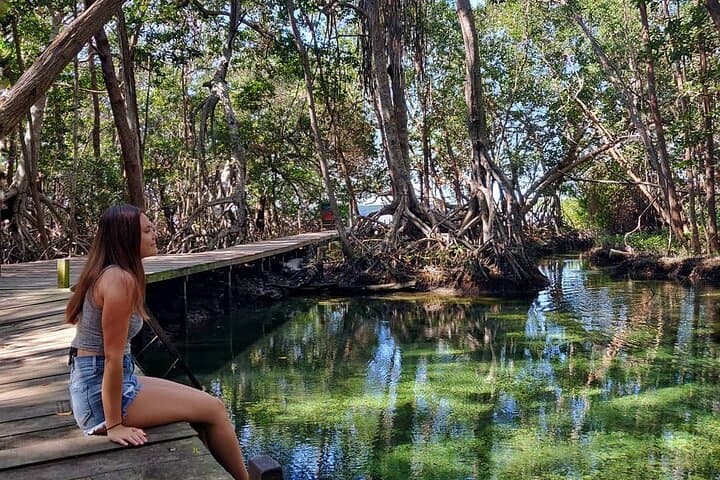 Celestun Mangrove Boat Ride from Merida — Flamingos, Mayan Ruins & Clay Baths