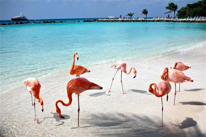 Celestun Mangrove Boat Ride from Merida — Flamingos, Mayan Ruins & Clay Baths photo 5