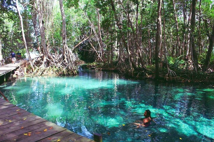 Celestun Mangrove Boat Ride from Merida — Flamingos, Mayan Ruins & Clay Baths photo 6