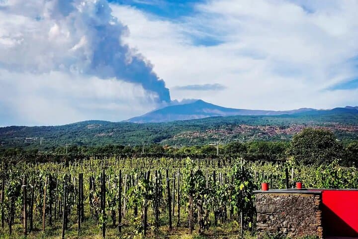 Off-Road Etna Trek & Winery Lunch — Lava Front, Grotta dei Ladroni and Etna Wines photo 3