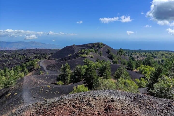 Off-Road Etna Trek & Winery Lunch — Lava Front, Grotta dei Ladroni and Etna Wines photo 2