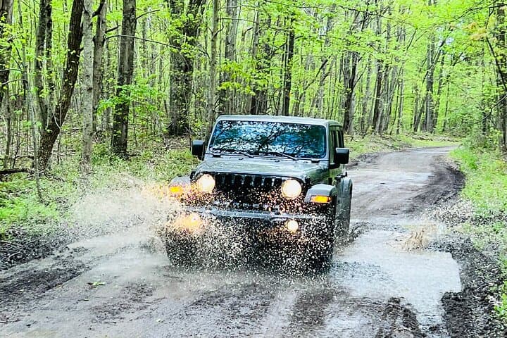 New River Gorge Jeep Tour: Half-Day Off-Road Adventure in West Virginia photo 5