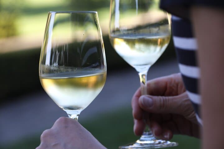 Knossos Palace to Peza Winery: Private Half-Day Tour from Heraklion photo 5