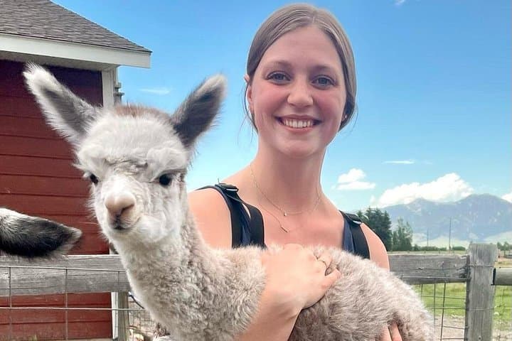 Hands-On Alpaca and Llama Farm Tour Near Bozeman, Montana photo 3