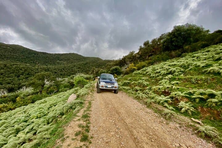 Nebrodi Jeep Adventure: Off‑Road Trails, Mountain Lakes & Picnic from Cefalù photo 4