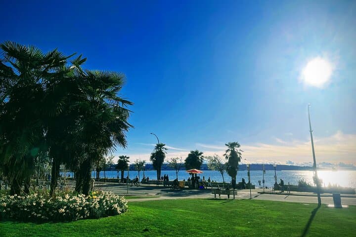 Vancouver Mini Tour with One-Way Whistler Transfer — Private City Sightseeing & Sea-to-Sky Drive photo 5