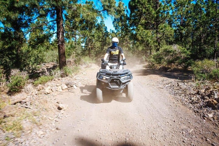 Corona Forest Quad: Off-Road Ride Through Tenerife's Teide Woodland photo 6