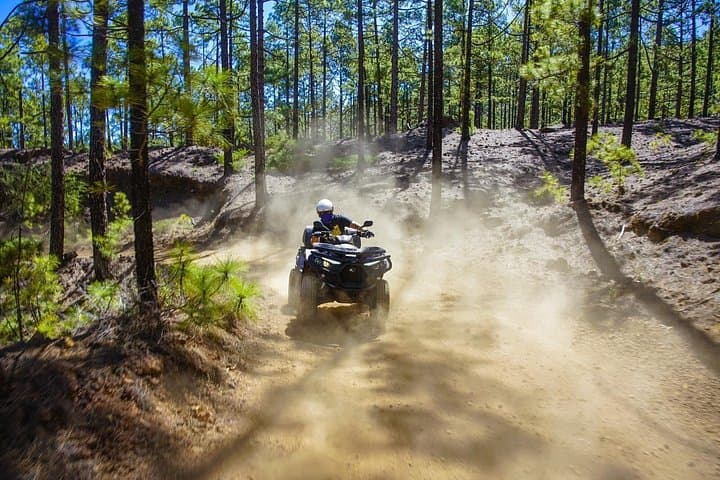 Corona Forest Quad: Off-Road Ride Through Tenerife's Teide Woodland