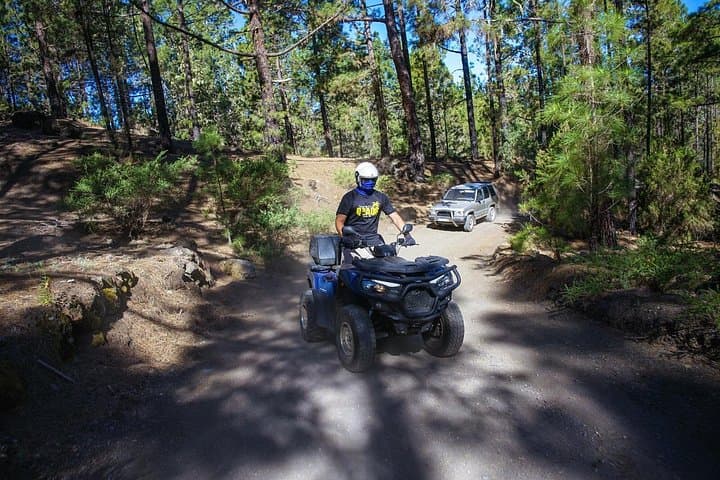 Corona Forest Quad: Off-Road Ride Through Tenerife's Teide Woodland photo 3