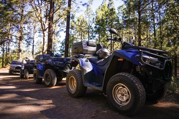 Corona Forest Quad: Off-Road Ride Through Tenerife's Teide Woodland photo 5