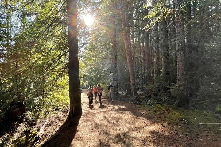Guided Nature Walks at Beacon Hill Park, Victoria: Peacocks, Totems & Coastal Forests