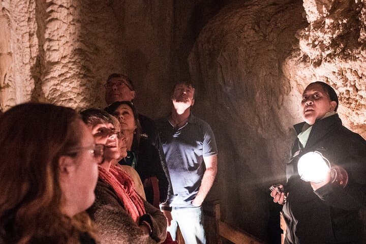 Bay of Islands Glow Worm Caves Express Tour from Paihia