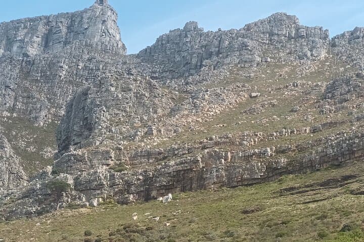 Table Mountain Cable Car: Half-Day Summit Experience, Views & Walking Trails photo 5