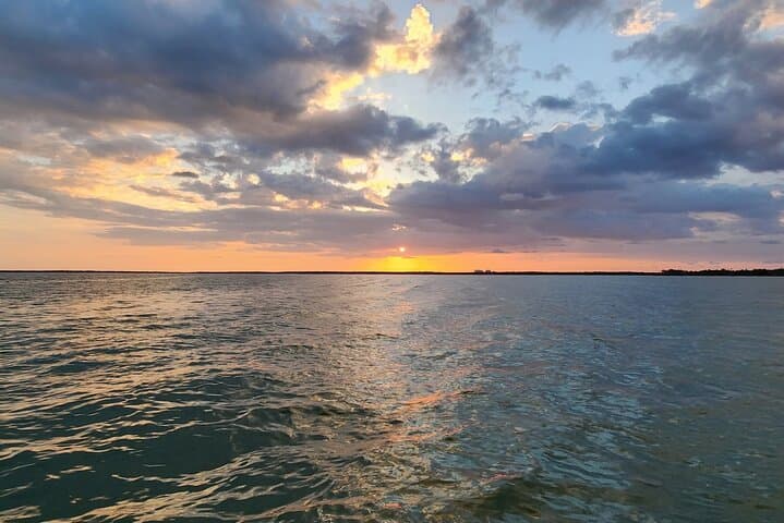 Private Half-Day Shelling & Dolphin EcoTour — 10,000 Islands (Goodland, FL) photo 6