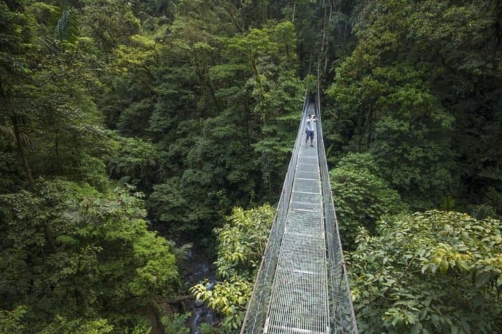 Private Full-Day Arenal Volcano & Baldi Hot Springs Tour (From Guanacaste) photo 3