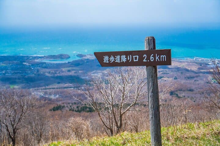 Usuzan Volcano Guided Hike from Noboribetsu – Summit, Fumaroles & Lake Toya Views photo 4