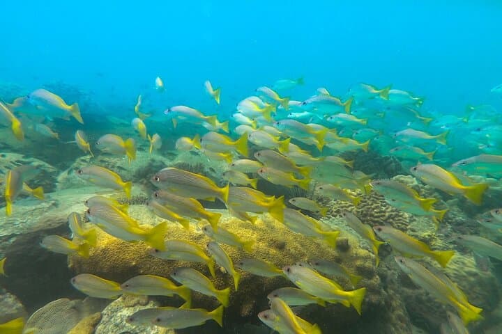 Discover Scuba Diving in Koh Rong — Beginner Dives from Koh Touch Beach photo 5