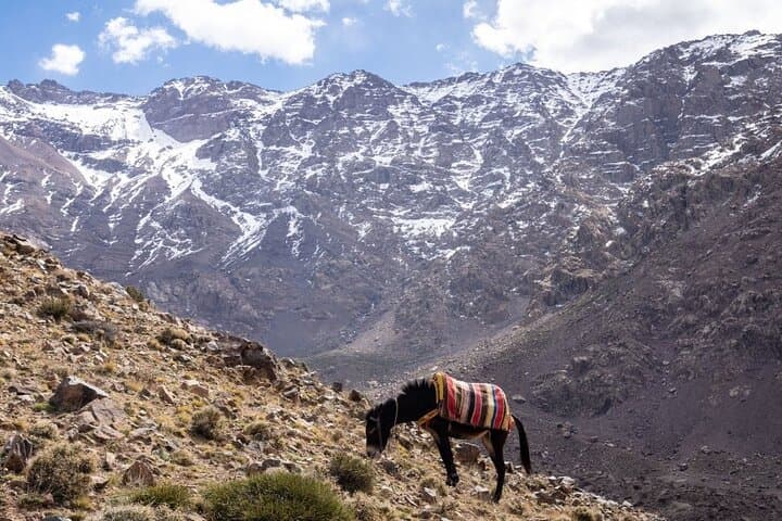 Summit Mount Toubkal: 2-Day Private Trek from Marrakech photo 2