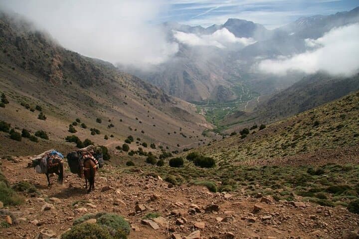 Imlil & Toubkal Footpaths: Day Trip from Marrakech to the Atlas Mountains photo 3