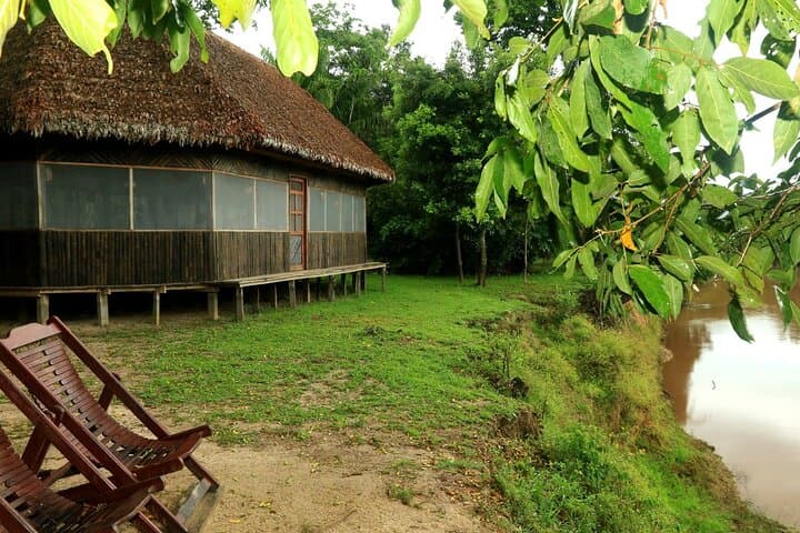 4-Day Madidi & Pampas del Yacuma Amazon Expedition from Rurrenabaque photo 6