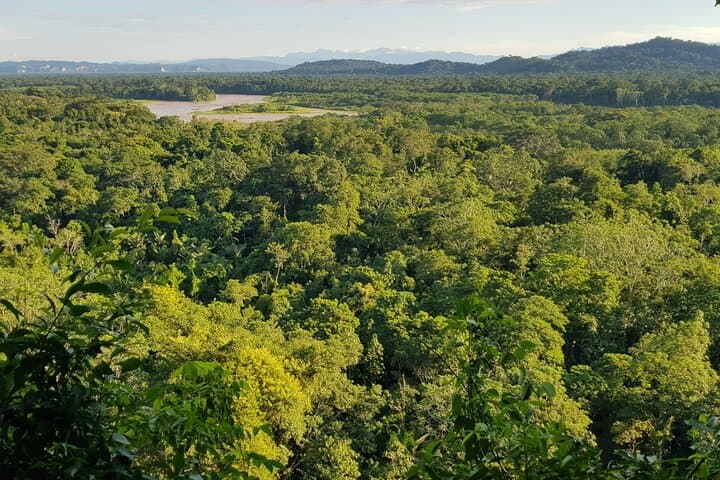 Madidi & Pampas Yacuma: 5-Day Amazon Expedition from Rurrenabaque photo 3