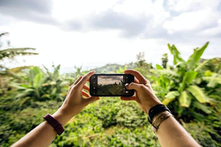 Blue Mountains Full-Day Tour: Coffee Farms, Waterfall Swim & Rainforest Views photo 4