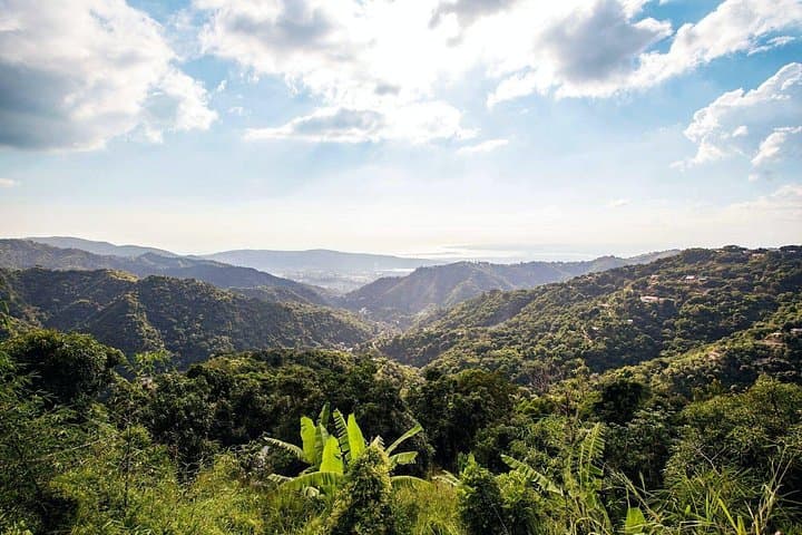 Blue Mountains Full-Day Tour: Coffee Farms, Waterfall Swim & Rainforest Views photo 3