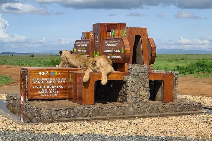 Explore Nairobi National Park, Giraffe Center & Karen Blixen Museum in One Day photo 4