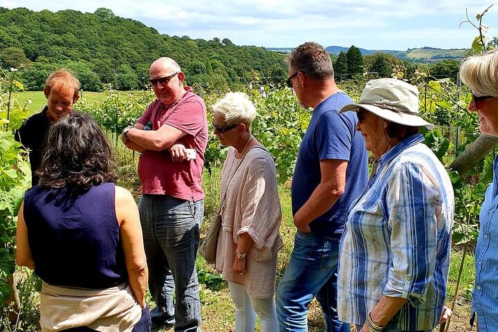 Swanaford Vineyard Tour & Tasting in Dartmoor: 90-Minute Walk Through English Vines photo 2