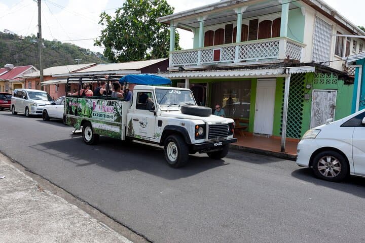 Rainforest Hike & Venus Estate Waterfall Safari — St. Lucia Day Tour photo 6