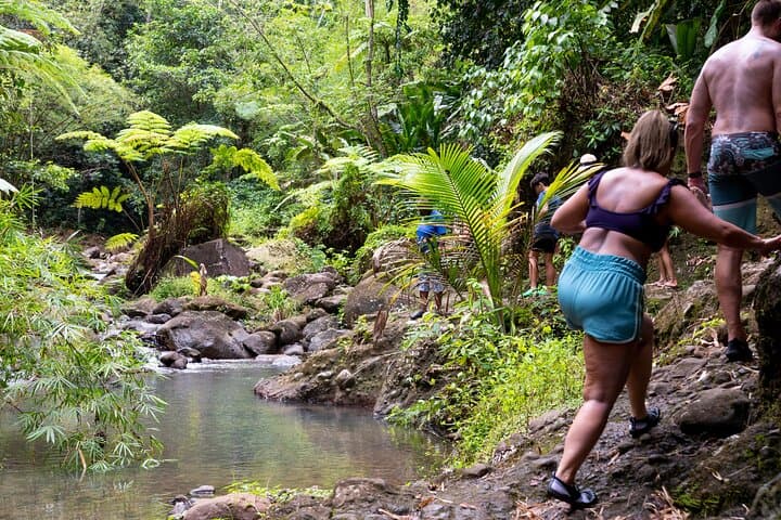Rainforest Hike & Venus Estate Waterfall Safari — St. Lucia Day Tour