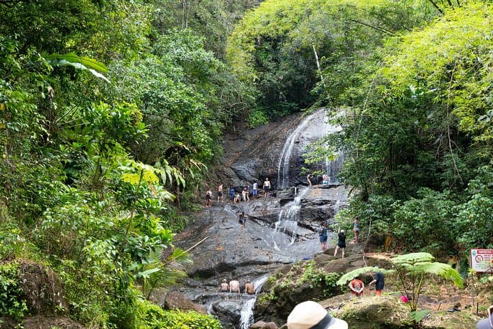 Rainforest Hike & Venus Estate Waterfall Safari — St. Lucia Day Tour photo 2